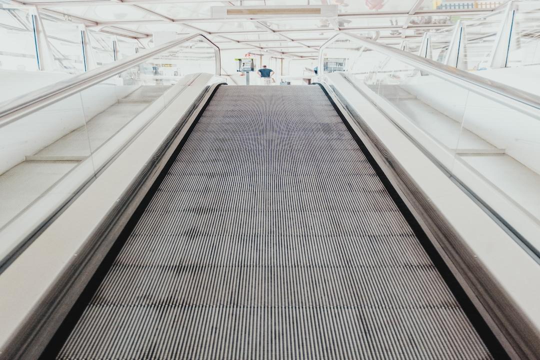 特朗普代幣在基礎上狂飆，交易者注視著下一個以狗為主題的幣種，期望能實現100倍飛躍