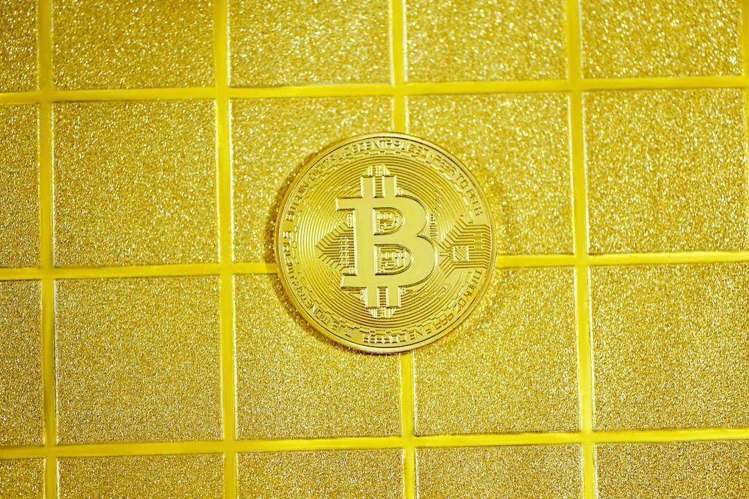 「狗媽媽MAGA幣價格暴漲，總統選舉進入白熱化階段 – 現在買還是將另一種幣成為真正贏家？」